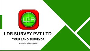 LDR Survey Logo